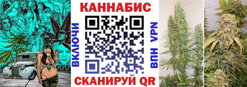 Бошки марихуана сатива  Купить закладки  Щигры 